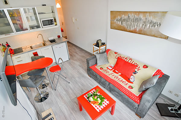 Lyon furnished apartment rental